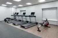 Hampton Inn & Suites by Hilton Avon Indianapolis - Gym