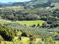 Guava Cabin @ Vinyard Winery, 6 Adults, 2 Kids, Wifi, AC, Fallbrook