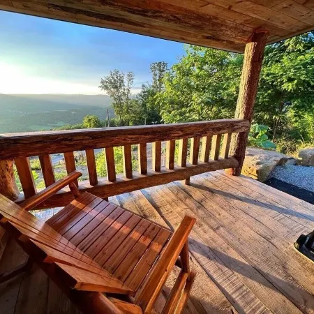 Tree Top View