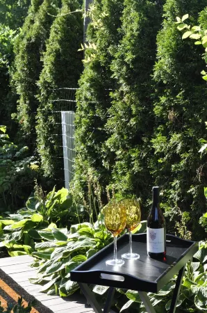 The Garden Studio, nestled in Downtown Burlington