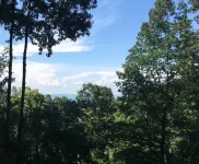 Treetop Hideaway with mountain views. 1000 sq. ft. 10 min to downtown Asheville!