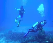 Dockside studio in Jensen Beach