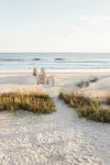 ✶Yoga Session✶ Oceanfront✶Hot Tub ✶Game Room✶Arcade Room✶Elevator
