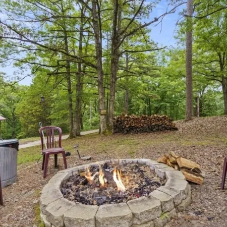 Bluebird Cottage - Hot Tub - Pool - Coffee - Fire Pit - less than 1 mile to SDC!