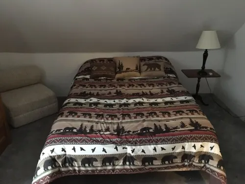 Cabin on 4 Acres Near Elk Mountain/Dogs OK/Easy Drive from Philly and NYC