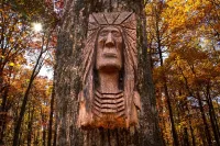 1880's Log Cabin Luxe + 21st c. Comfort = Mentone's Coolest Cabin