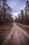 Modern Forest Chalet • Near Tippy Dam, Big-M & Caberfae • Starlink WiFi