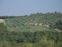 House / Villa - Cetona Hotels in Cetona