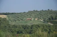 House / Villa - Cetona
