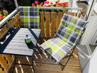 Apartment "Black Forest view" 100sqm with balcony Hotels in Munstertal