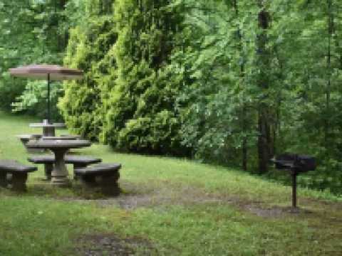 GREAT DEAL $85 per night ON BEAUTIFUL HIAWASSEE RIVER