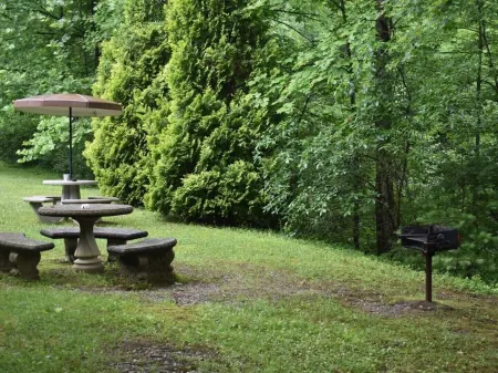 GREAT DEAL $85 per night ON BEAUTIFUL HIAWASSEE RIVER