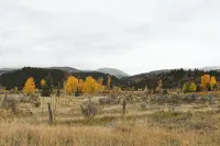 Cabin getaway on 10 acres w/ wifi and fishing pond in Swan Valley