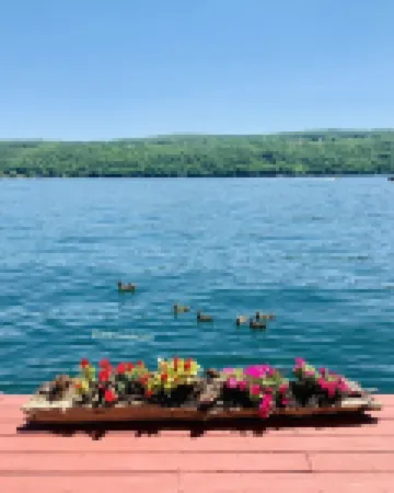 Cozy Cozy Cottage ~ Perfect Location On West Keuka Lake ~ Private Dock!