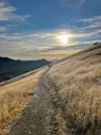 Romantic Wine Country Cottage in Kenwood - Walk to 15 Wineries