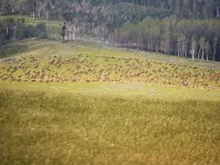 Steps from restaurants and the historic Stockman’s Bar and Grill. Hotels in Jackson County