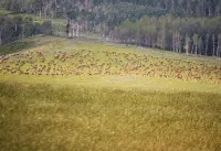 Steps from restaurants and the historic Stockman’s Bar and Grill.