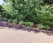 Peaceful 2BR near US Route 1 and Boston.