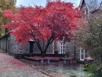 Victorian stone mansion in extensive grounds overlooking Bala Lake
