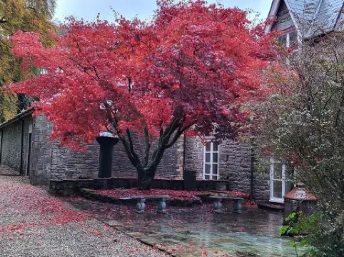 Victorian stone mansion in extensive grounds overlooking Bala Lake