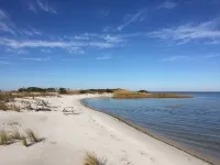 Cedar Island cottage, short walk to beach