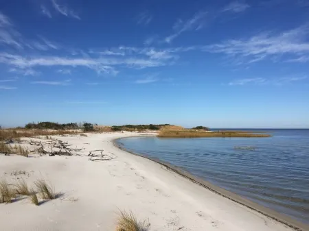 Cedar Island cottage, short walk to beach Отели в г. Сидар Айленд