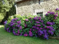 Beautiful quiet longère, near forests and ocean Hotel a Morbihan