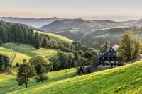 Forest Light Titisee (W17) + Hochschwarzwald Card
