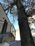 KampenZeit loft with fantastic panoramic views