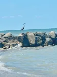 Lake Front Cottage Perfect for Fisherman, Birders,  and Family Vacations.