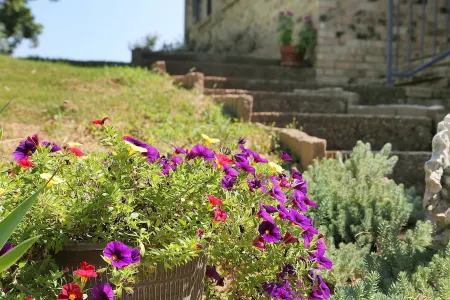 Cozy Country Cottage