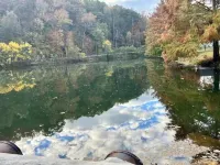 Buck Tiny Luxury Cabin on Lake with Arcade