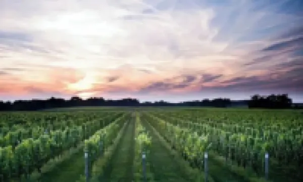 The Good Times House