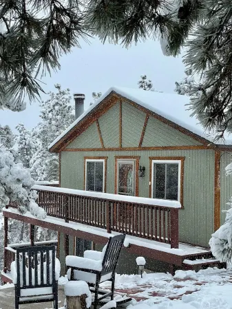 Rustic-Luxury Cabin with Fireplace, Deck Views & Wildlife Watching