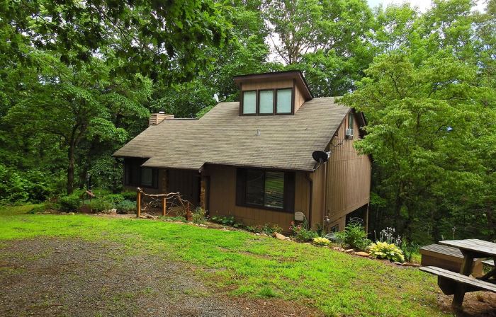 Cozy Bear Lodge on top of Casey's Mountain! - Great Location!!