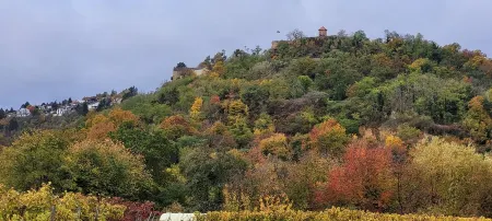 Vacation apartment SonnenaufgangVineyards close... Forest nearby... Wonderful... Отели в г. Бобенхайм-ам-Берг