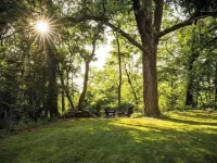 Charming duplex walkable to historic downtown Cedarburg