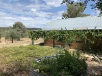 Relax in a beautiful private peaceful setting 5 minute drive from Beechworth ビーチワースのホテル