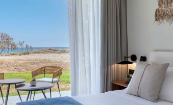 Domes Aulus Zante, Autograph Collection