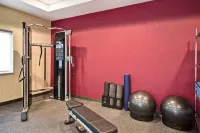 Home2 Suites by Hilton Georgetown - Gym