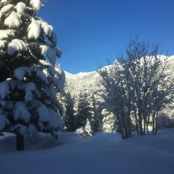 SKI Cool Cabin in the Woods