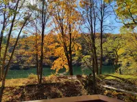 Welcome to a Space That Embodies the True Original Spirit of Vrbo