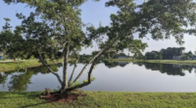 Brand new apartment with an amazing lake view