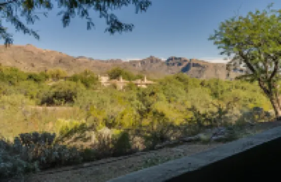 Luxury Ventana Canyon Condo