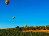 Farm Treehouse; GLAMPING IN THE WINE COUNTRY! 501c3