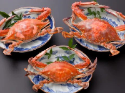 たら竹崎温泉　海上館 太良町のホテル