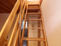 Reihenhaus Dunenwaldhaus in Trassenheide