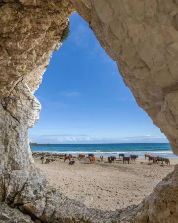 2 Bedroom Apartment, Bushmills, North Coast Отели рядом с достопримечательностью «Замок Данлюс»