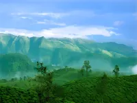 Manis Home Stay Valparai