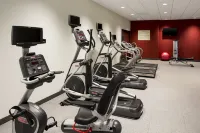 Hilton Garden Inn Bettendorf/Quad Cities - Gym